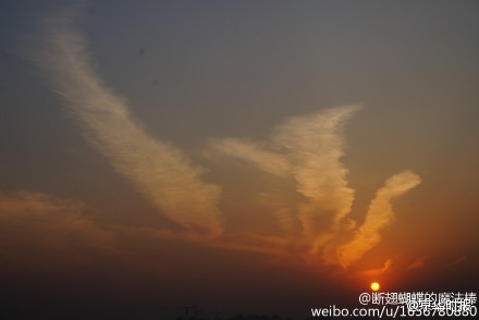 652f5916jw1enjutmm2z1j20c8086wel.jpg