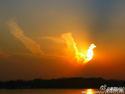 652f5916jw1enjv6o1gttj20c8096glo.jpg