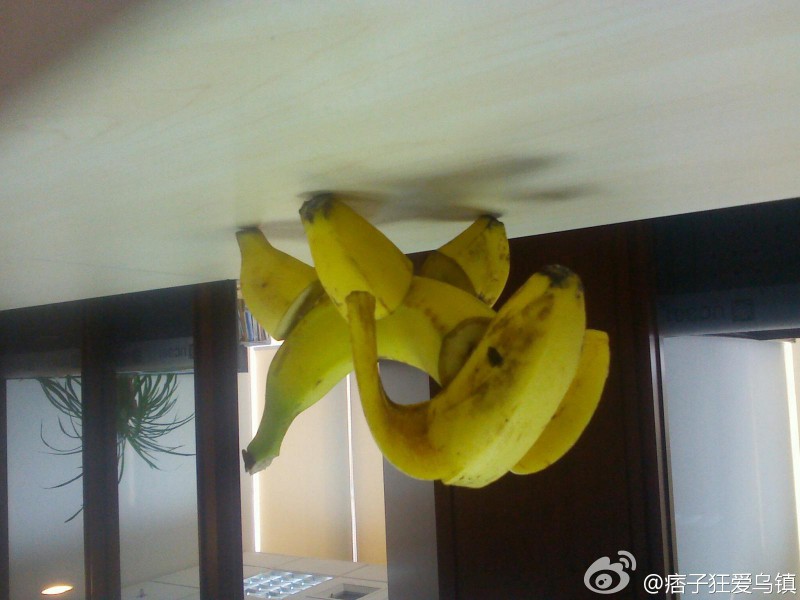 681653b4jw1dqj1v1rs1lj.jpg