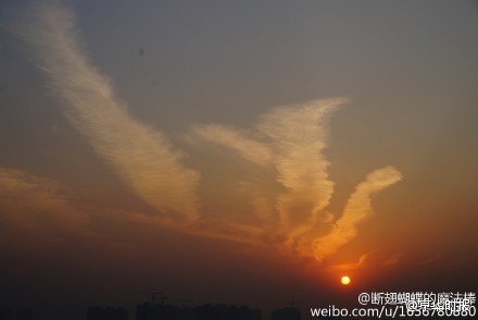 652f5916jw1enjutmprmcj20c808674e.jpg