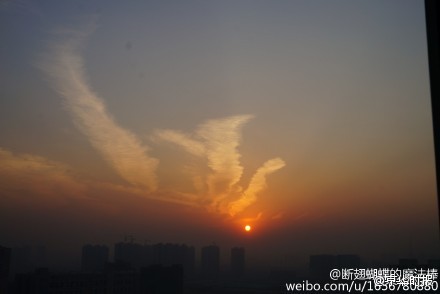 652f5916jw1enjutmsl74j20c8086t8t.jpg